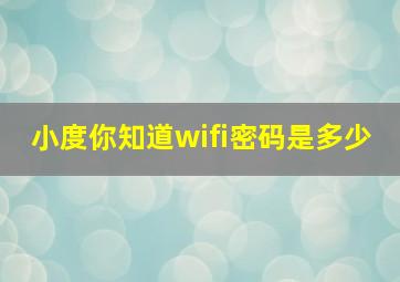 小度你知道wifi密码是多少