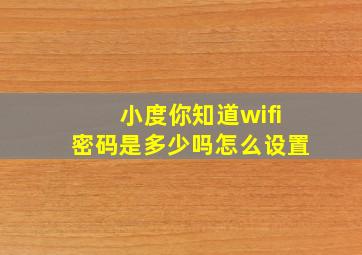 小度你知道wifi密码是多少吗怎么设置