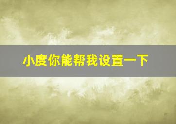 小度你能帮我设置一下