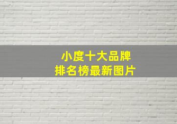 小度十大品牌排名榜最新图片