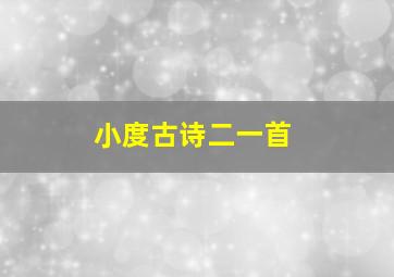 小度古诗二一首