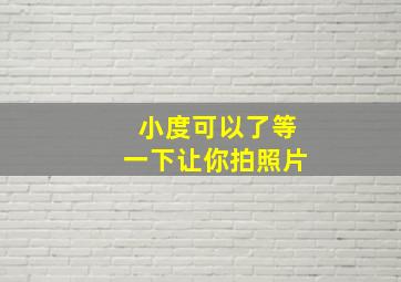 小度可以了等一下让你拍照片