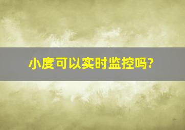 小度可以实时监控吗?