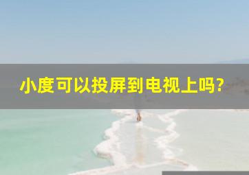 小度可以投屏到电视上吗?