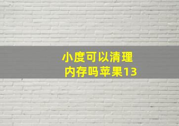 小度可以清理内存吗苹果13