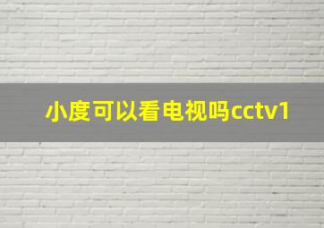 小度可以看电视吗cctv1