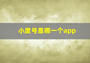 小度号是哪一个app