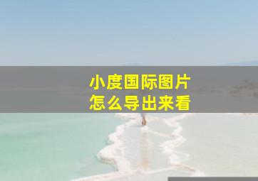 小度国际图片怎么导出来看