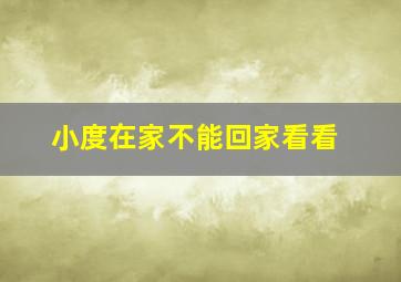 小度在家不能回家看看