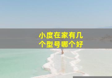 小度在家有几个型号哪个好