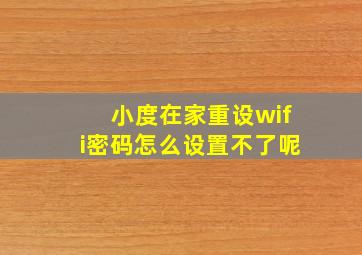 小度在家重设wifi密码怎么设置不了呢