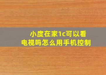 小度在家1c可以看电视吗怎么用手机控制