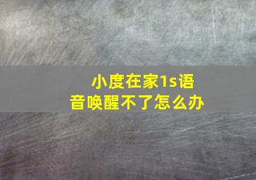 小度在家1s语音唤醒不了怎么办