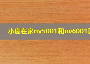 小度在家nv5001和nv6001区别