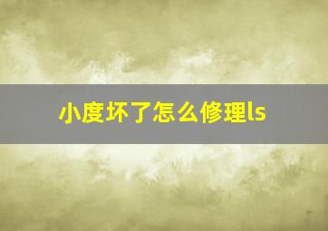 小度坏了怎么修理ls