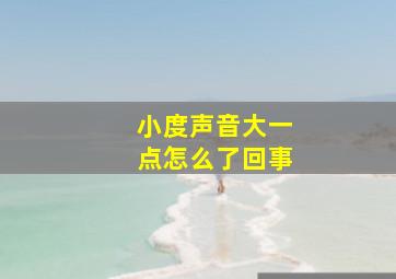 小度声音大一点怎么了回事