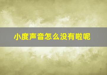 小度声音怎么没有啦呢