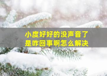 小度好好的没声音了是咋回事啊怎么解决