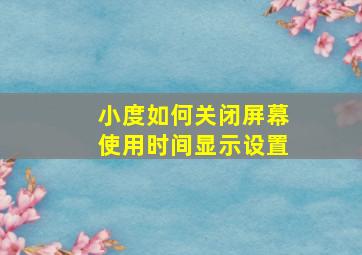 小度如何关闭屏幕使用时间显示设置