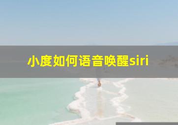 小度如何语音唤醒siri