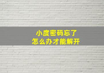 小度密码忘了怎么办才能解开