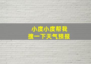 小度小度帮我搜一下天气预报