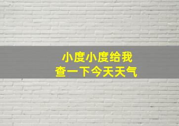 小度小度给我查一下今天天气