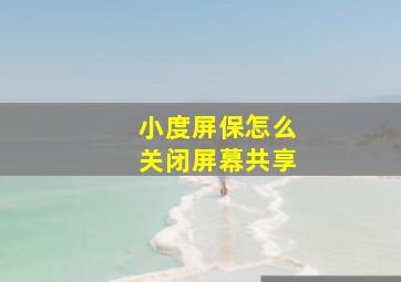 小度屏保怎么关闭屏幕共享