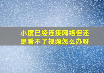 小度已经连接网络但还是看不了视频怎么办呀