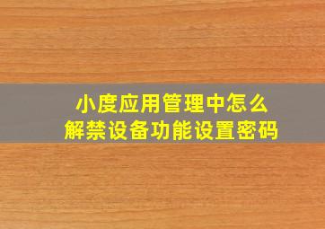 小度应用管理中怎么解禁设备功能设置密码