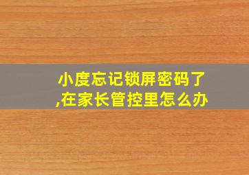 小度忘记锁屏密码了,在家长管控里怎么办