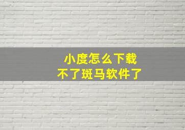 小度怎么下载不了斑马软件了