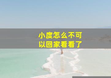 小度怎么不可以回家看看了