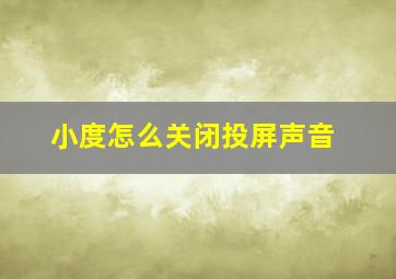 小度怎么关闭投屏声音