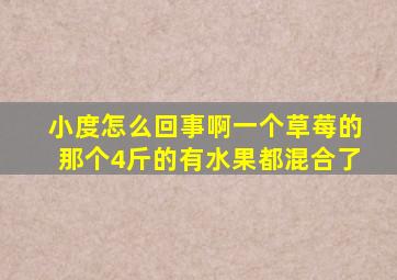 小度怎么回事啊一个草莓的那个4斤的有水果都混合了