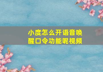 小度怎么开语音唤醒口令功能呢视频