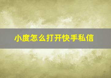 小度怎么打开快手私信