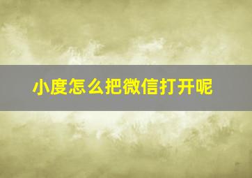 小度怎么把微信打开呢