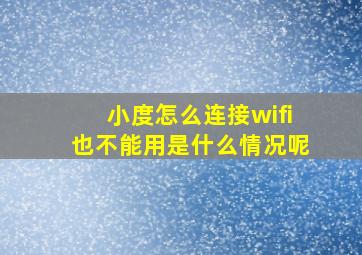 小度怎么连接wifi也不能用是什么情况呢