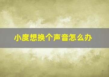 小度想换个声音怎么办