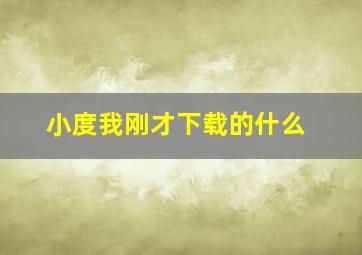 小度我刚才下载的什么