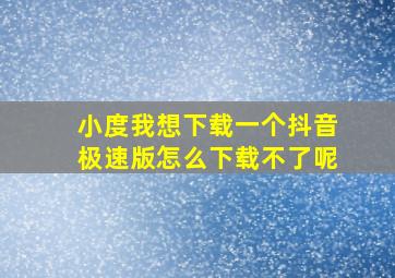 小度我想下载一个抖音极速版怎么下载不了呢