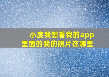 小度我想看我的app里面的我的照片在哪里