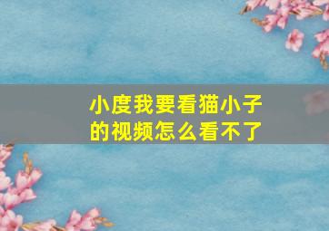 小度我要看猫小子的视频怎么看不了