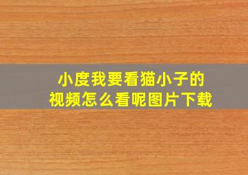 小度我要看猫小子的视频怎么看呢图片下载