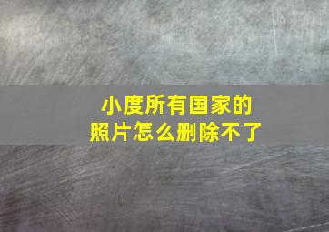 小度所有国家的照片怎么删除不了