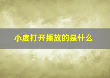 小度打开播放的是什么