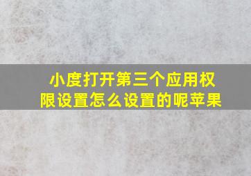 小度打开第三个应用权限设置怎么设置的呢苹果