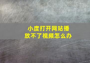 小度打开网站播放不了视频怎么办