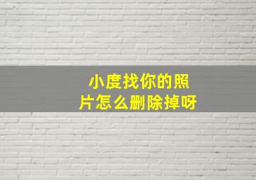 小度找你的照片怎么删除掉呀